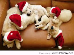 All you need's a long nap, a soft sofa, and some good friends...Merry Christmas!