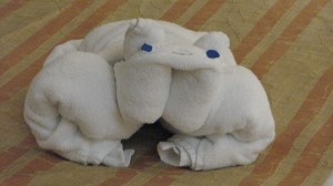 Frog or Toad or some related amphibian