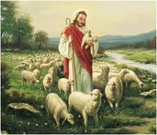Jesus and sheep