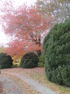 Our corner of the world during the peak fall tourist season.